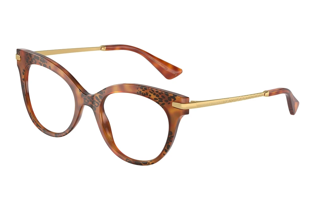 Dolce & Gabbana   DG3392 3380 Havana Leo