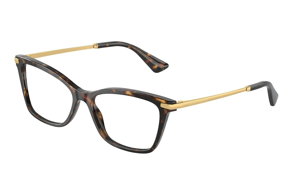 Dolce & Gabbana   DG3393 502 Havana