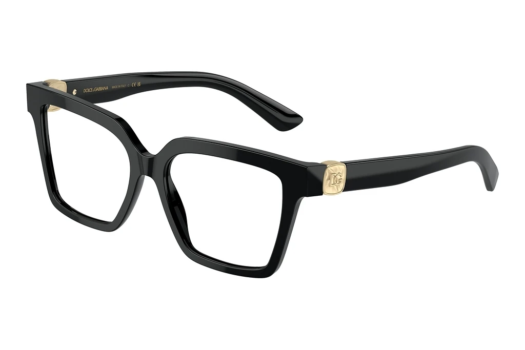Dolce & Gabbana   DG3395 501 Black