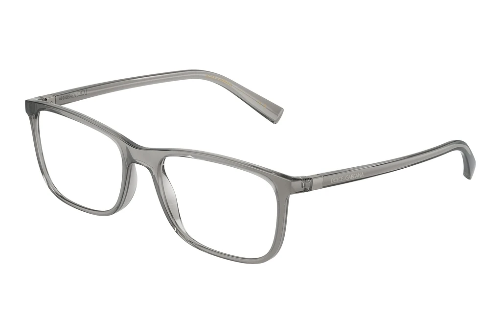 Dolce & Gabbana   DG5027 3160 Transparent Grey