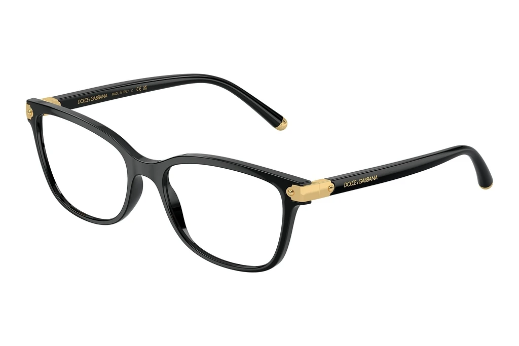 Dolce & Gabbana   DG5036 501 Black
