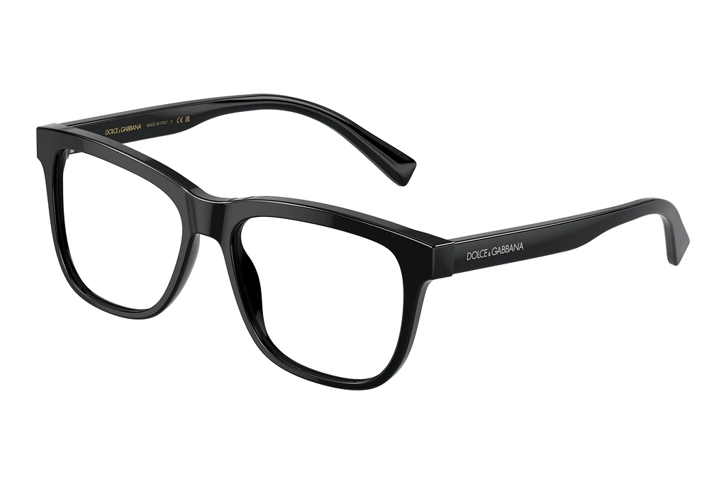 Dolce & Gabbana   DX3356 501 Black