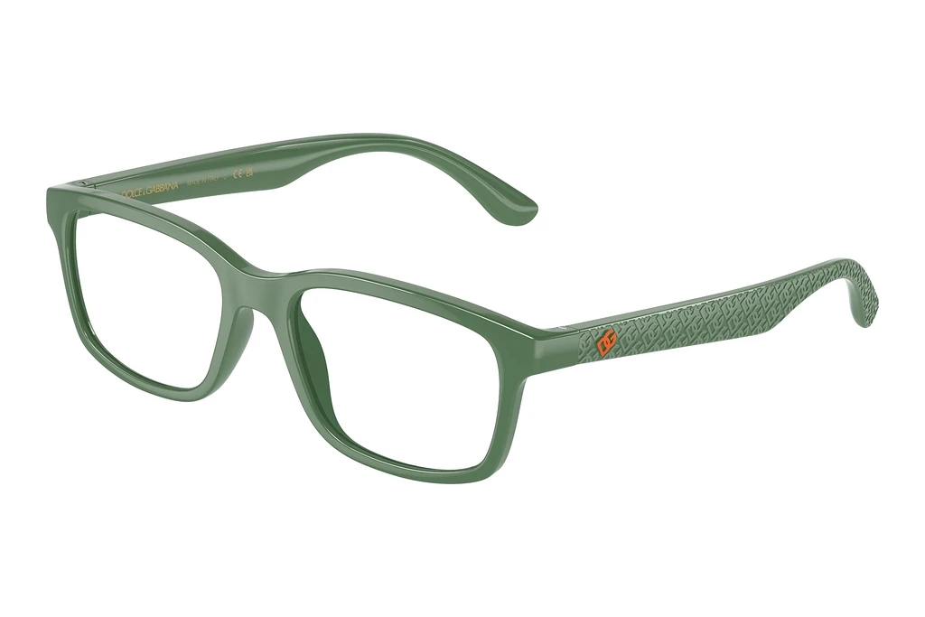 Dolce & Gabbana   DX5097 3329 Green