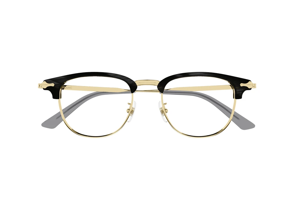 Vorderansicht Mont Blanc MB0364O (003)