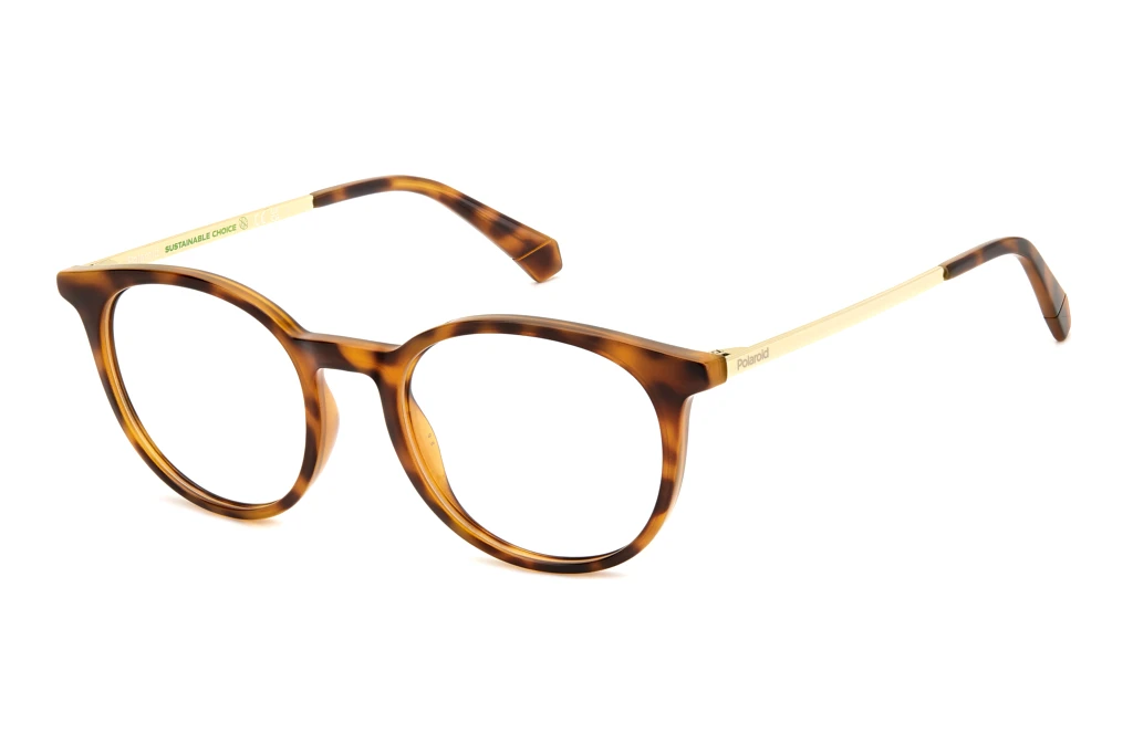 Polaroid   PLD D496 086 HAVANA