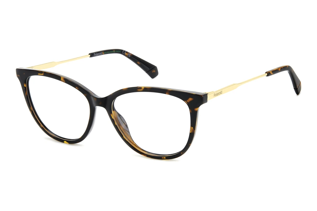 Polaroid   PLD D564 086 HAVANA