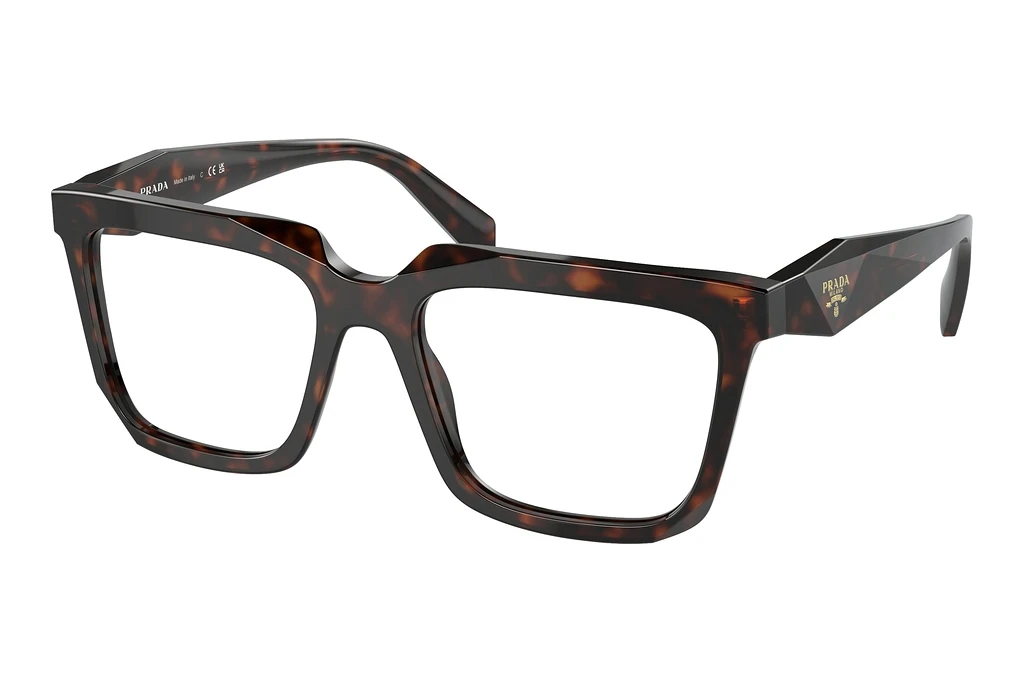 Prada   PR A19V 17N1O1 Root Tortoise