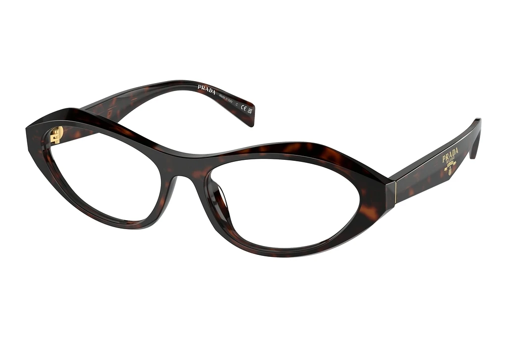Prada   PR A21V 17N1O1 Root Tortoise