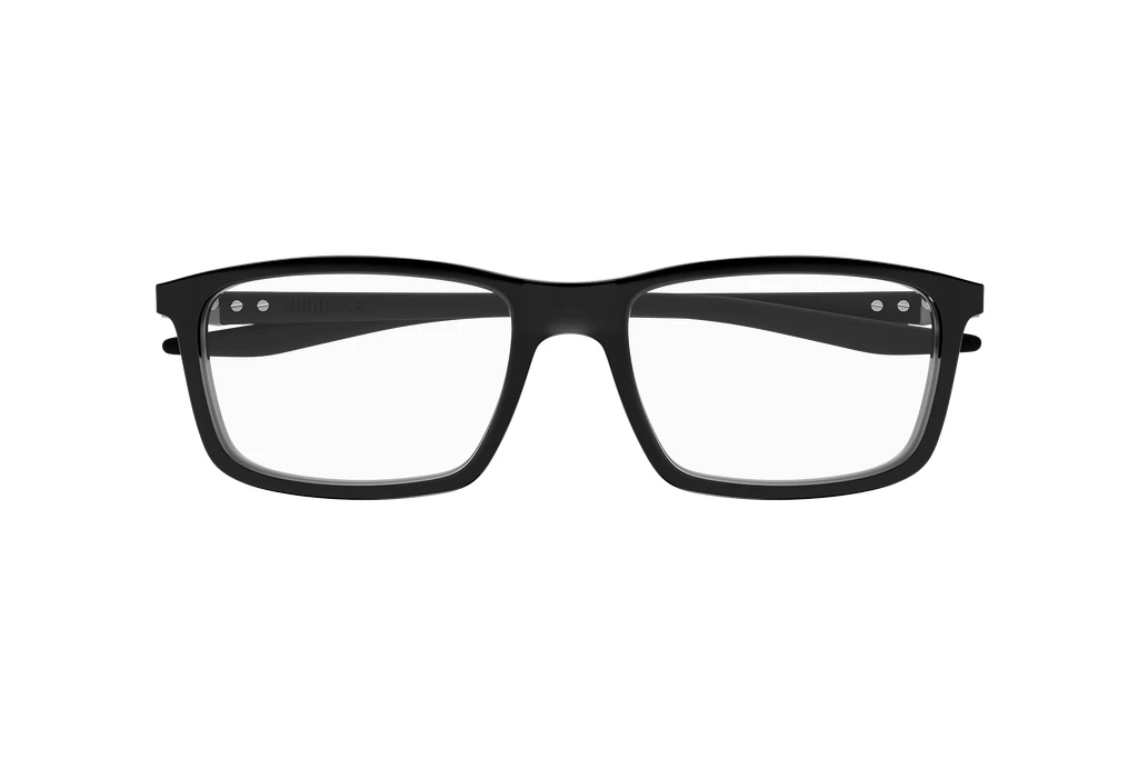 Vorderansicht Puma PU0418O (001)