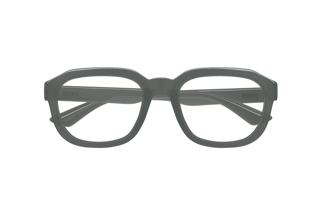 Vorderansicht Puma PU0464O (001)