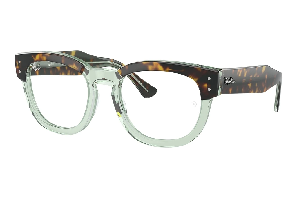 Ray-Ban   RX0298V 8249 Havana On Transparent Green