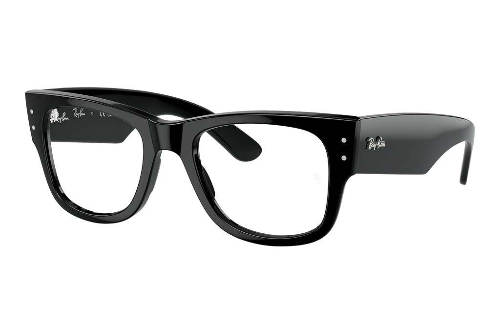 Ray-Ban   RX0840V 2000 Black