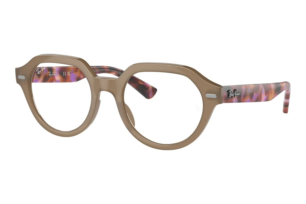 Ray-Ban   RX7214 8258 Turtledove