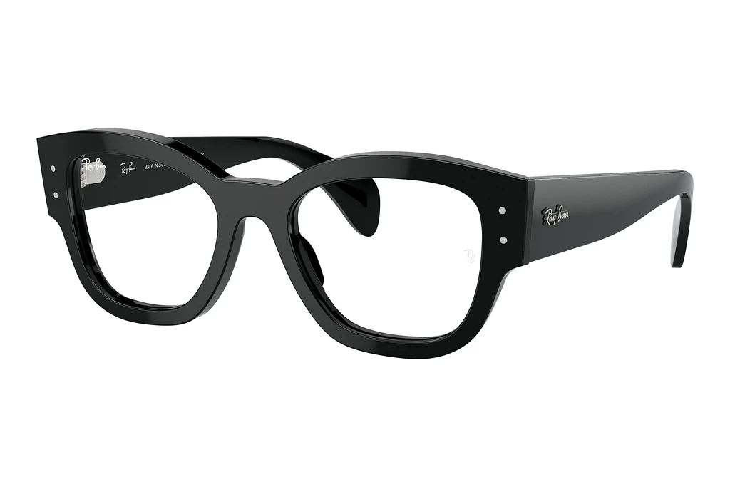 Ray-Ban   RX7681V 2000 Black