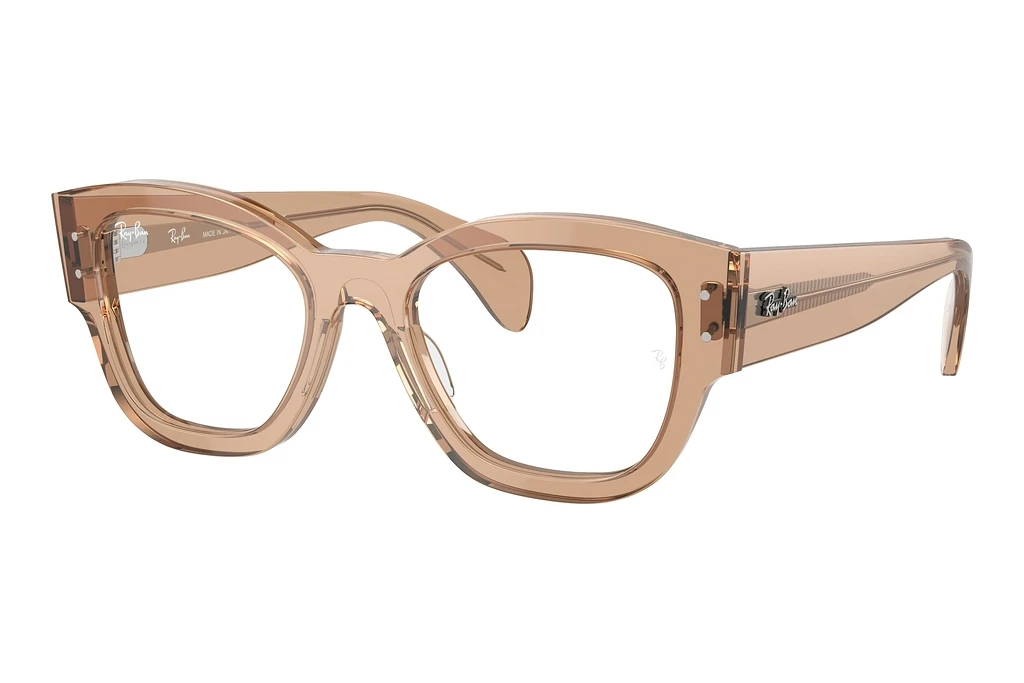 Ray-Ban   RX7681V 8353 Transparent Light Brown