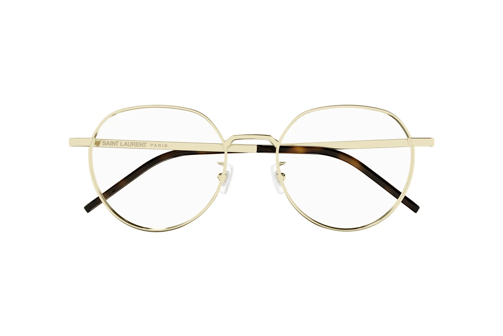 Vorderansicht Saint Laurent SL 647/F (003)
