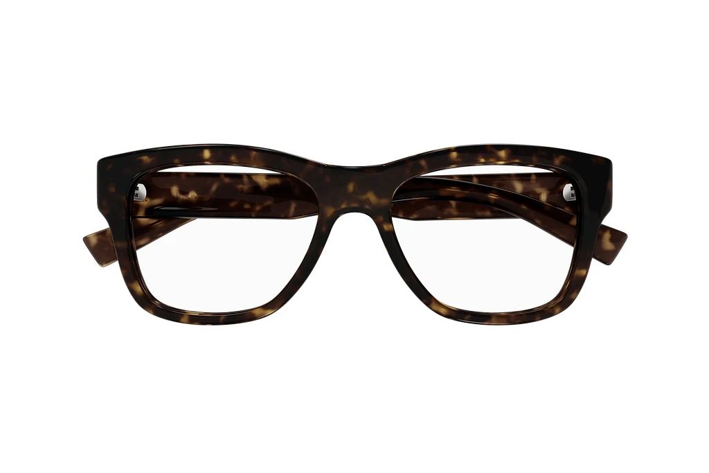 Vorderansicht Saint Laurent SL 677 (002)