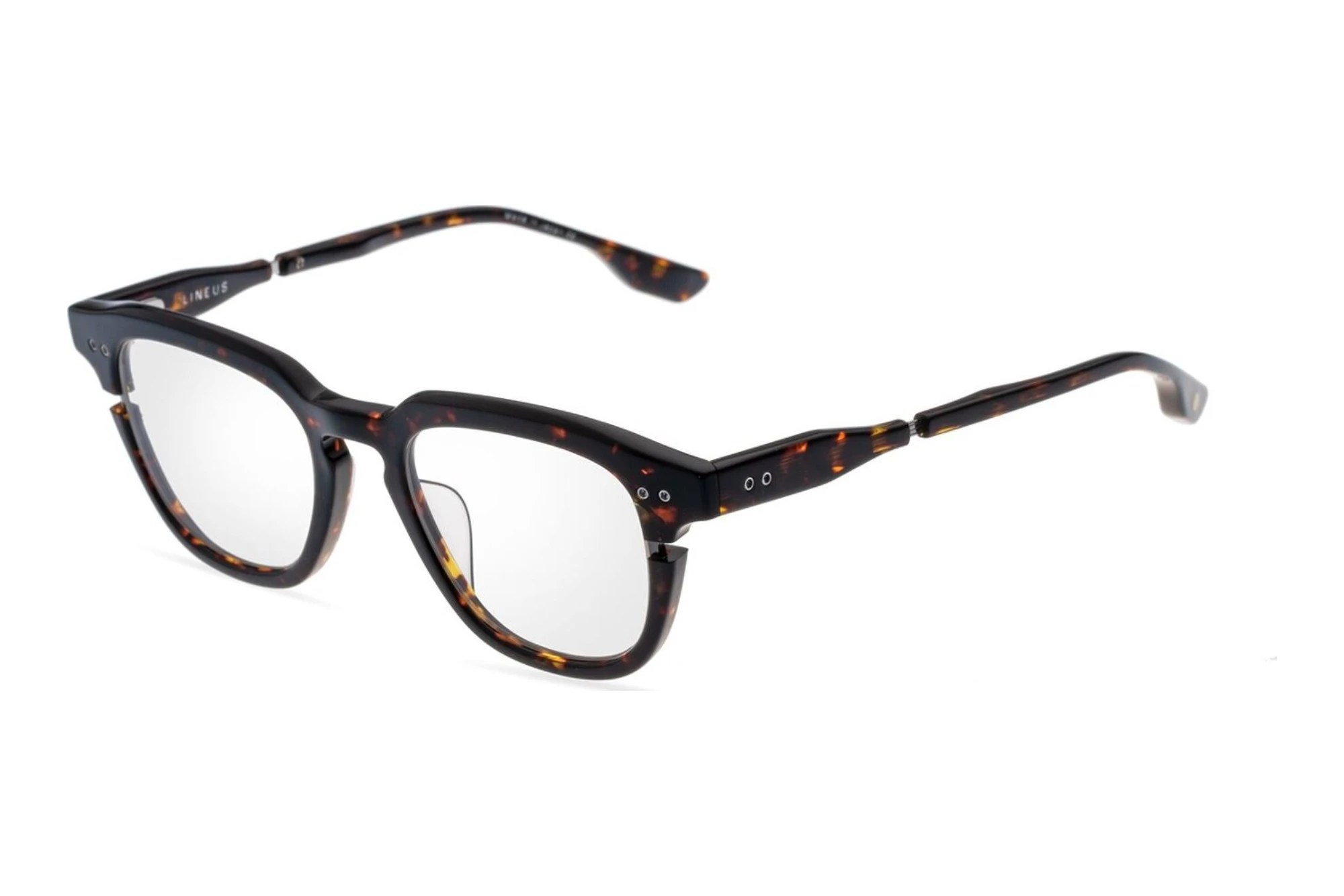 DITA   DTX-702 02A TORTOISE/GUN METAL