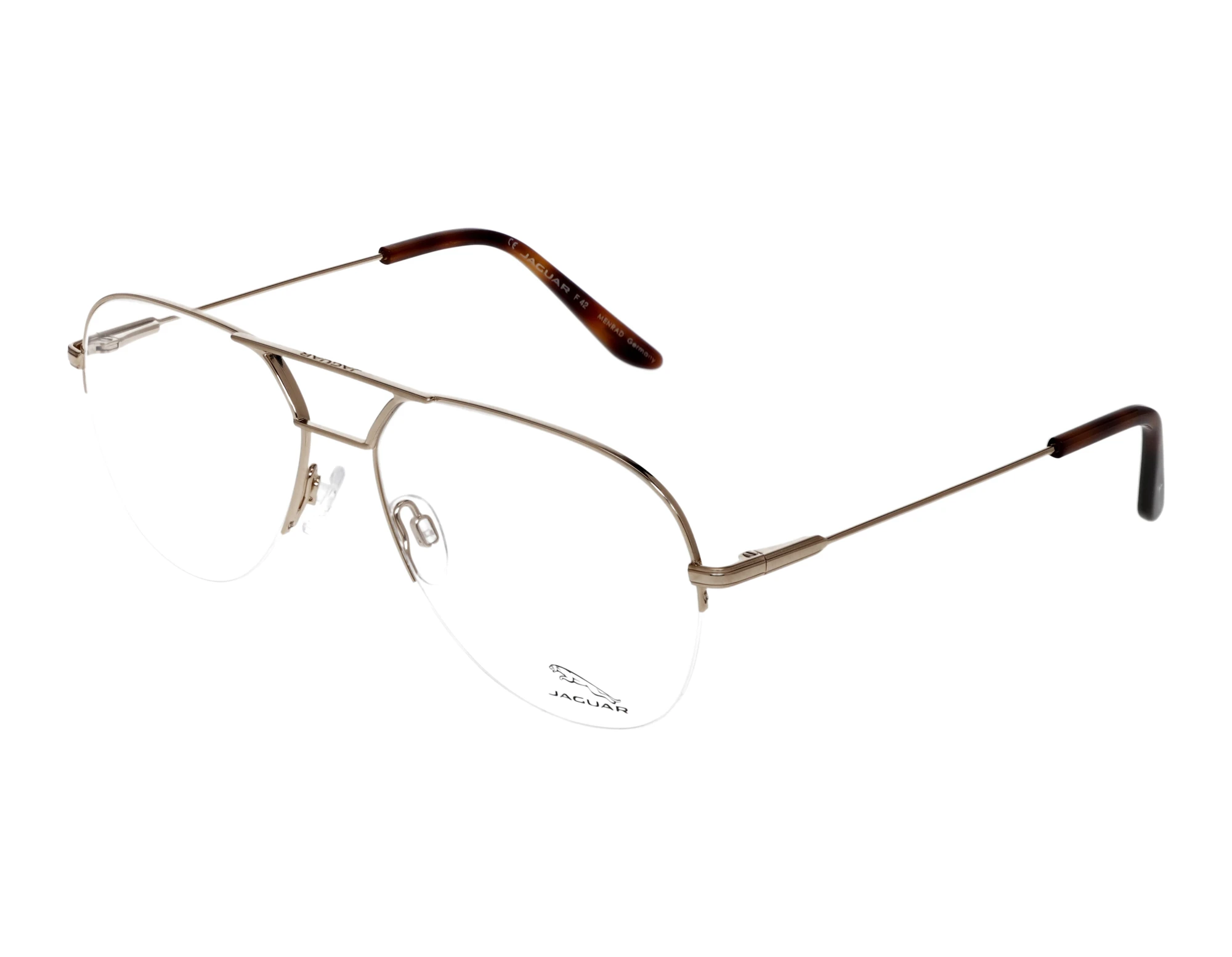 Vorderansicht Jaguar 33107 (6000)