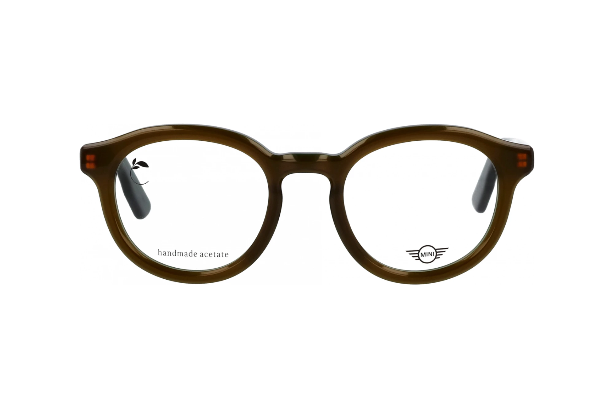 Vorderansicht MINI Eyewear MI 743024 (64)