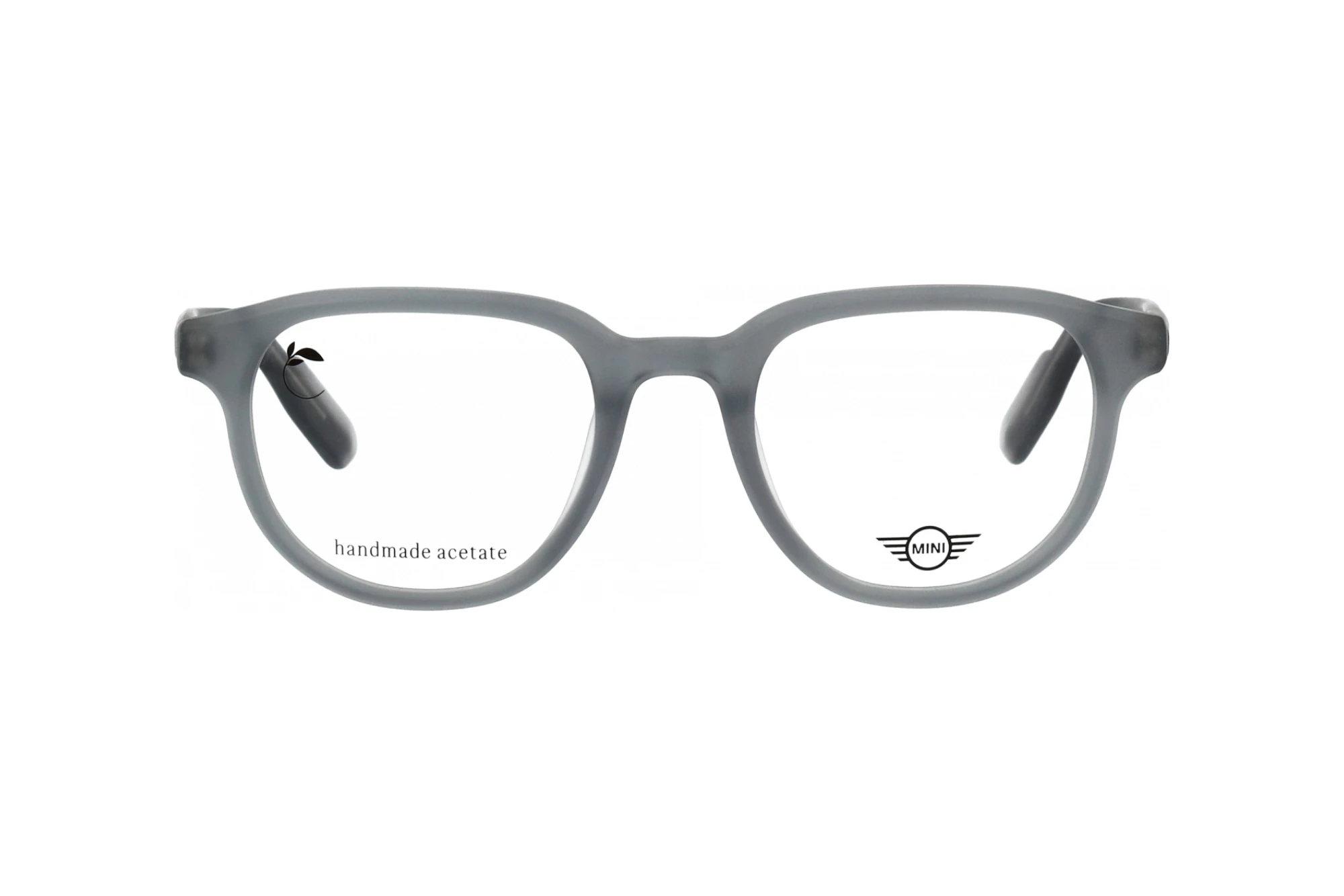 Vorderansicht MINI Eyewear MI 743028 (30)