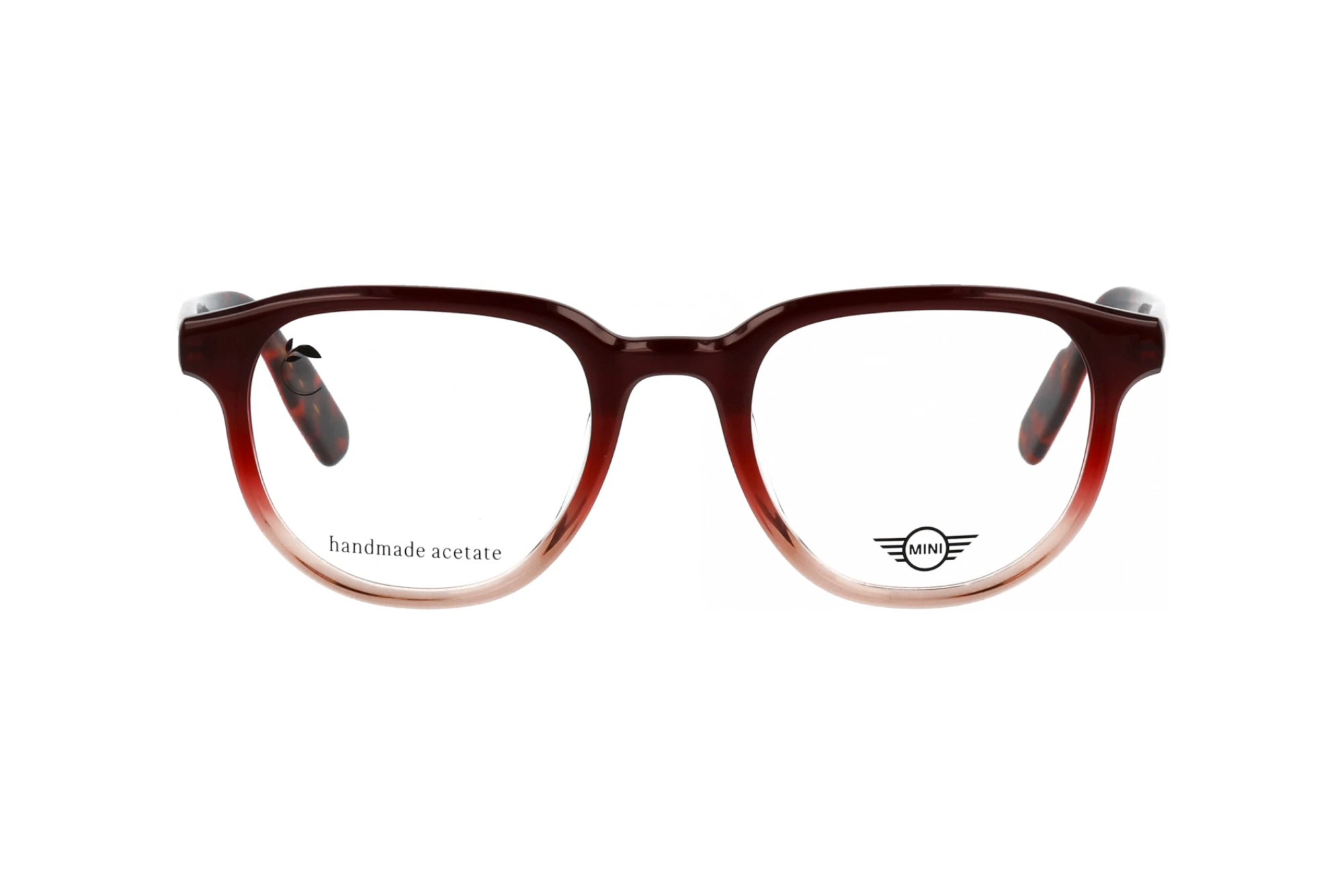 Vorderansicht MINI Eyewear MI 743028 (55)