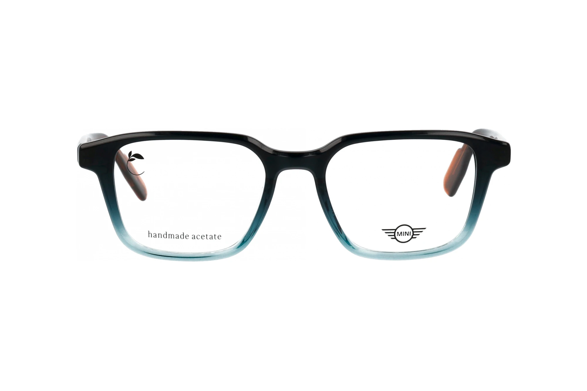 Vorderansicht MINI Eyewear MI 743029 (77)
