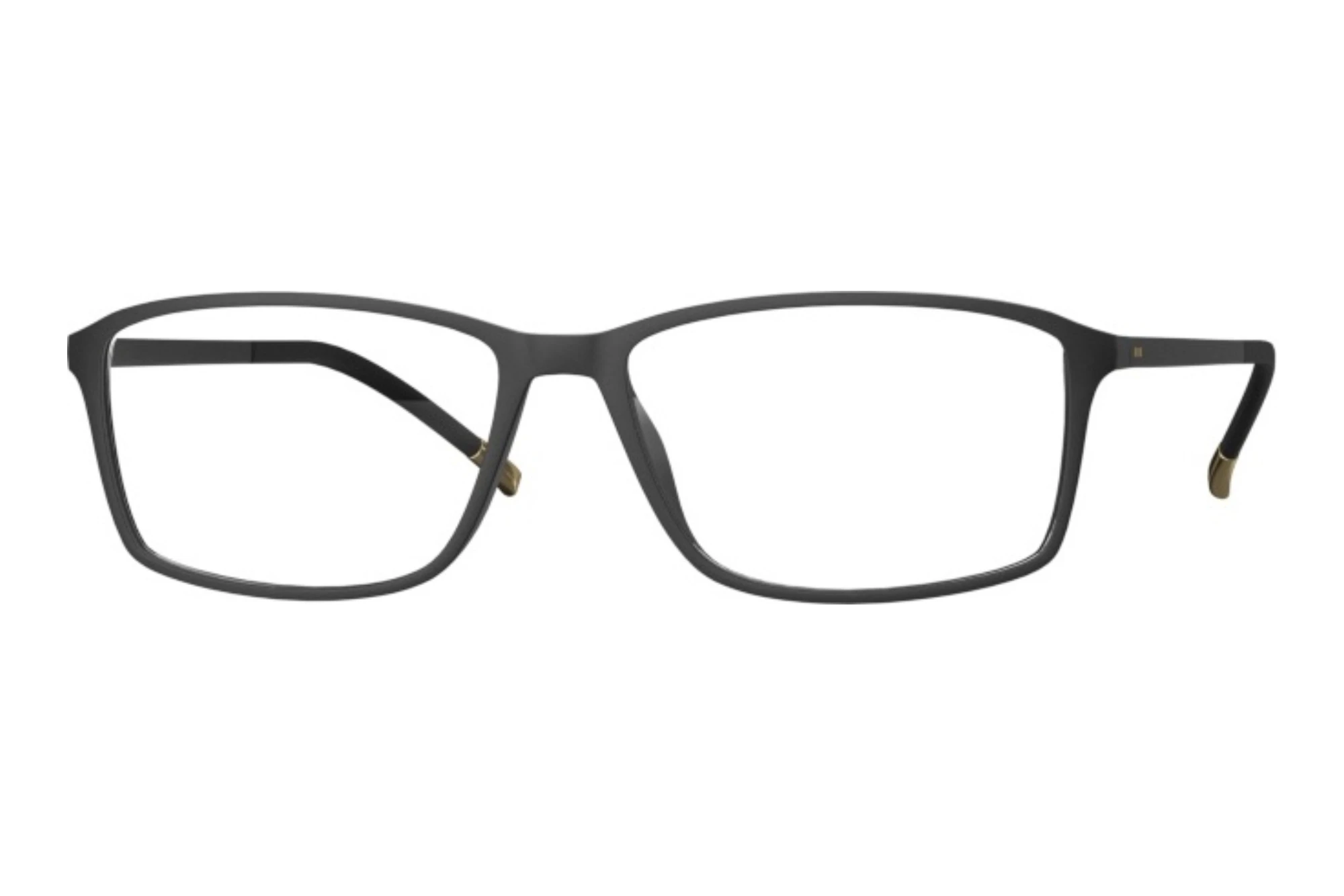 Silhouette   2942 9030 Black Matte