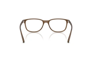 Rückansicht Arnette CRUMBLE (AN7281 - 2997)