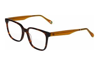 Benetton 461118 103 Braun