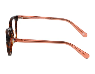 Seitenansicht Benetton 462017 (103)