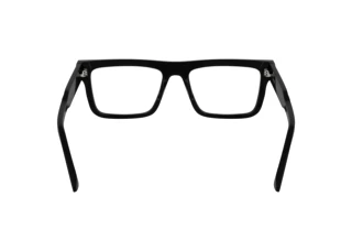 Rückansicht Calvin Klein CK25520 (001)