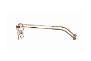 Seitenansicht Carolina Herrera HER 0168 (NOA)