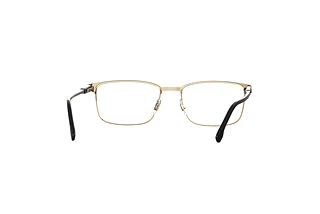 Rückansicht Carrera CARRERA 262 (2M2)