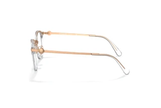 Seitenansicht Coach HC5133D (5111)