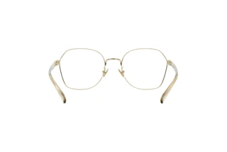 Rückansicht Coach HC5155 (9436)