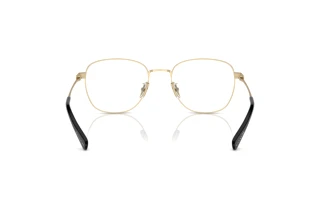 Rückansicht Coach HC5163 (9429)