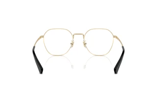 Rückansicht Coach HC5170 (9005)