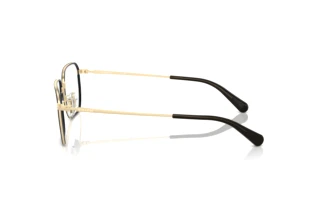 Seitenansicht Coach HC5171 (9005)