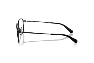 Seitenansicht Coach HC5171 (9344)