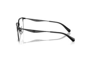 Seitenansicht Coach HC5178 (9344)