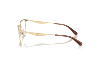 Seitenansicht Coach HC5178 (9439)