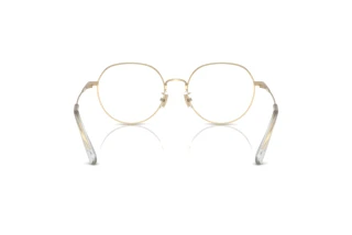 Rückansicht Coach HC5180TD (9005)