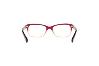 Rückansicht Coach HC6089 (5484)