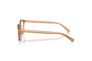 Seitenansicht Coach HC6152D (5654)