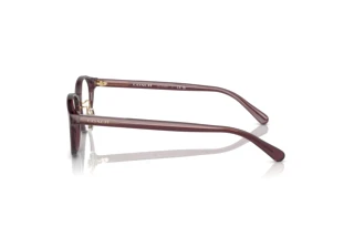 Seitenansicht Coach HC6152D (5677)