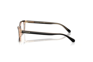 Seitenansicht Coach HC6174 (5781)