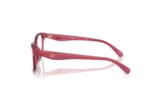 Seitenansicht Coach HC6243U (5824)