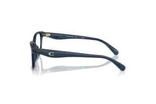 Seitenansicht Coach HC6243U (5846)