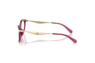 Seitenansicht Coach HC6245U (5824)